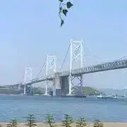 おりーぶの画像