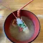 ガウラ　プロフご一読お願いいたしますの画像
