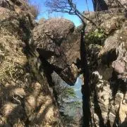 kumayaの画像