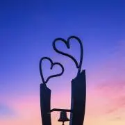 あさがおの画像
