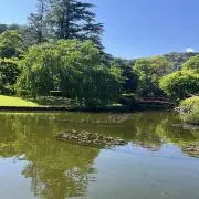 maの画像