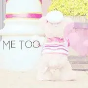 ローズえぃみーの画像