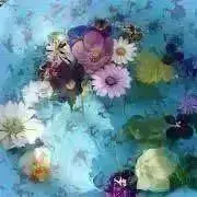 gardenの画像