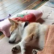 そうちゃんラブの画像