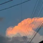 りーの画像