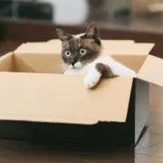 やま子の画像