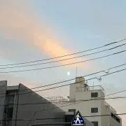 しゅんの画像