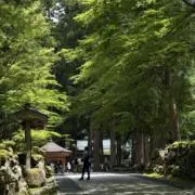 sueの画像