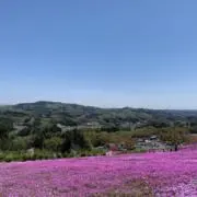 みやの画像
