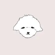 きりの画像