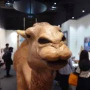 うちやまだの画像