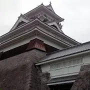 ぽちょんの画像