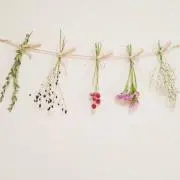 mamii⋆⑅の画像