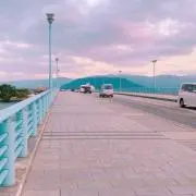 ぴの画像
