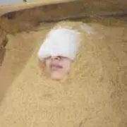 紗矢