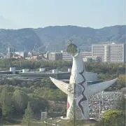 さとうの画像