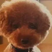 ふくすけ