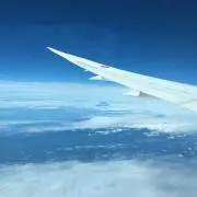 ぽむぽむ