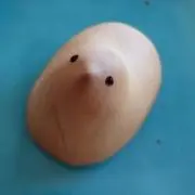 マメの画像