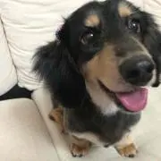 mioの画像