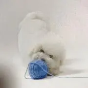 ショパン