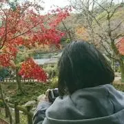 みどりの画像