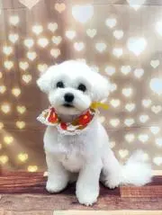 くーちゃん
