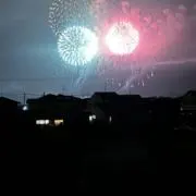 コーセイの画像