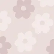 momoの画像