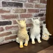 rinaの画像