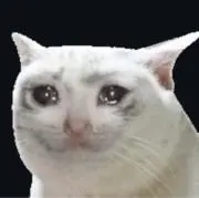 るち