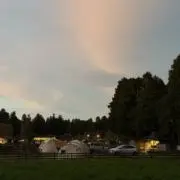 ワッキーの画像