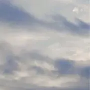 importの画像
