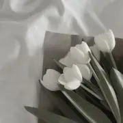 chiakiの画像