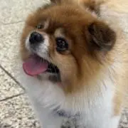 Andrewの画像