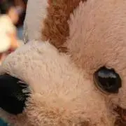 epi ※ プロフ必読の画像