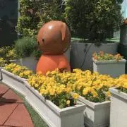 peach❁の画像