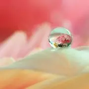 ゆいの画像