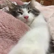 みきこの画像