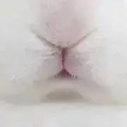 戸棚の画像