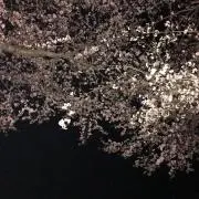 にこちゃんタイムセール中!!