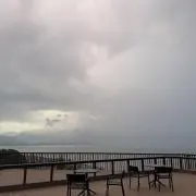とんぼの画像