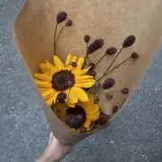 Rの画像
