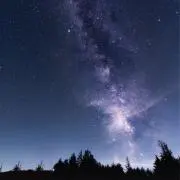 抹茶太郎の画像