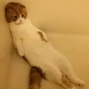 ゆきち  プロフ必読!の画像