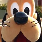きぬ♡の画像
