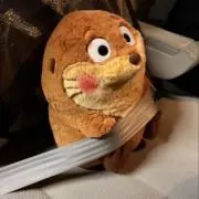 おへその画像
