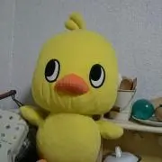 ゆあことの画像
