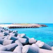 Baysの画像