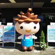 えいせいの画像